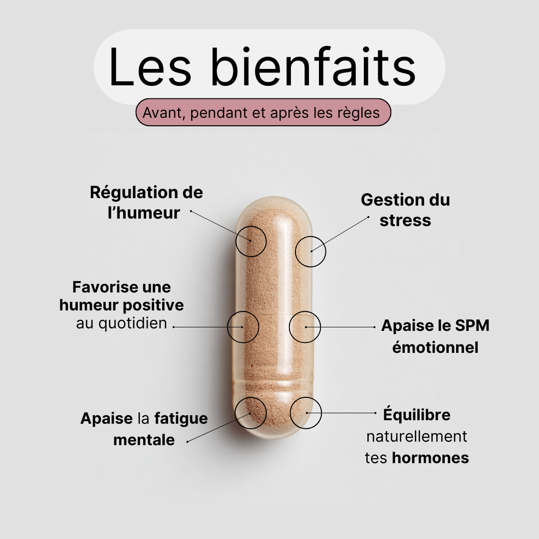 Complément alimentaire stress et humeur, Mood Balance